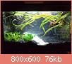         

:  DSC00110.jpg
:  682
:  76,2 KB