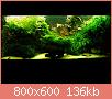         

:  400updt.jpg
:  283
:  135,8 KB