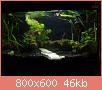         

:  DSC00145.jpg
:  391
:  45,5 KB