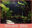         

:  DSC00149.jpg
:  358
:  60,5 KB
