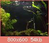         

:  DSC00150.jpg
:  363
:  53,9 KB