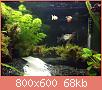         

:  DSC00154.jpg
:  360
:  67,9 KB