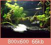         

:  DSC00156.jpg
:  362
:  65,7 KB