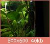         

:  DSC00168.jpg
:  320
:  40,5 KB