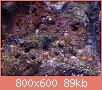         

:  ImageUploadedByTapatalk1360933201.940804.jpg
:  265
:  88,7 KB