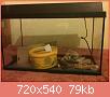         

:  ImageUploadedByTapatalk1361054530.622290.jpg
:  475
:  79,3 KB