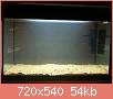         

:  ImageUploadedByTapatalk1361054558.292071.jpg
:  453
:  53,7 KB