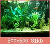         

:  ImageUploadedByTapatalk1361054669.223940.jpg
:  542
:  81,5 KB