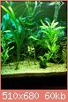         

:  ImageUploadedByTapatalk1361054685.953023.jpg
:  499
:  60,3 KB