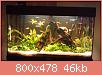         

:  IMAG0186.jpg
:  472
:  46,0 KB