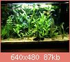         

:  ImageUploadedByTapatalk1361828318.413328.jpg
:  331
:  87,2 KB