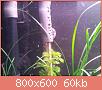         

:  20130226_220301.jpg
:  423
:  59,8 KB