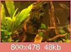         

:  IMAG0200.jpg
:  320
:  48,3 KB