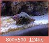         

:  ImageUploadedByTapatalk1362569108.838647.jpg
:  330
:  124,0 KB