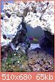         

:  ImageUploadedByTapatalk1362569133.417169.jpg
:  355
:  65,4 KB