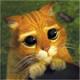 Name:  shrek.jpg
Views: 272
Size:  2,2 KB