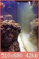         

:  ImageUploadedByTapatalk1363281365.635389.jpg
:  227
:  41,8 KB
