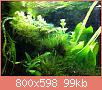         

:  IMG_0082.jpg
:  389
:  98,6 KB