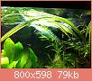         

:  IMG_0083.jpg
:  353
:  79,4 KB