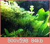         

:  IMG_0084.jpg
:  363
:  84,3 KB