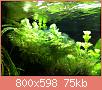         

:  IMG_0085.jpg
:  337
:  74,5 KB