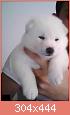         

:  ImageUploadedByTapatalk1364136321.312325.jpg
:  2050
:  13,0 KB