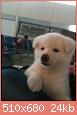         

:  ImageUploadedByTapatalk1364136342.710458.jpg
:  968
:  24,0 KB