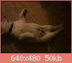         

:  ImageUploadedByTapatalk1364136419.828389.jpg
:  893
:  50,5 KB