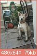         

:  ImageUploadedByTapatalk1364136462.612687.jpg
:  915
:  75,2 KB