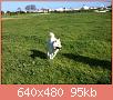         

:  ImageUploadedByTapatalk1364136559.801662.jpg
:  898
:  95,5 KB