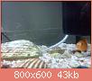         

:  IMG_20130401_011401.jpg
:  345
:  42,8 KB