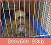         

:  me and my animals 002.jpg
:  460
:  92,9 KB