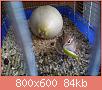         

:  me and my animals 006.jpg
:  738
:  84,0 KB