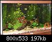         

:  PC041237a_resize.jpg
:  535
:  197,3 KB