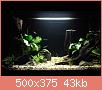         

:  DSC005455195.jpg
:  890
:  42,6 KB