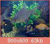         

:  B96CADB5.jpg
:  319
:  62,7 KB