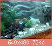         

:  DSC00387.JPG
:  773
:  71,8 KB