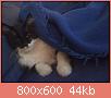         

:  1CB60690.jpg
:  511
:  44,1 KB