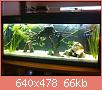         

:  ImageUploadedByTapatalk1367503096.935535.jpg
:  385
:  66,2 KB