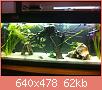         

:  ImageUploadedByTapatalk1367503108.254485.jpg
:  369
:  62,3 KB