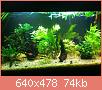         

:  ImageUploadedByTapatalk1367854145.953528.jpg
:  352
:  74,4 KB
