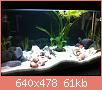         

:  ImageUploadedByTapatalk1368284123.700886.jpg
:  315
:  60,6 KB