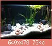         

:  ImageUploadedByTapatalk1368467145.975634.jpg
:  778
:  72,6 KB