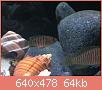         

:  ImageUploadedByTapatalk1368467158.699296.jpg
:  751
:  64,4 KB
