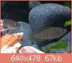         

:  ImageUploadedByTapatalk1368467170.211149.jpg
:  771
:  66,9 KB