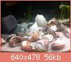         

:  ImageUploadedByTapatalk1368467225.826622.jpg
:  656
:  55,9 KB