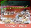         

:  uploadfromtaptalk1368638411381.jpg
:  347
:  59,5 KB