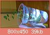         

:  DSC_0297.jpg
:  567
:  39,0 KB