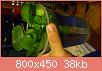         

:  DSC_0299.jpg
:  414
:  37,6 KB