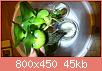         

:  DSC_0301.jpg
:  368
:  45,5 KB